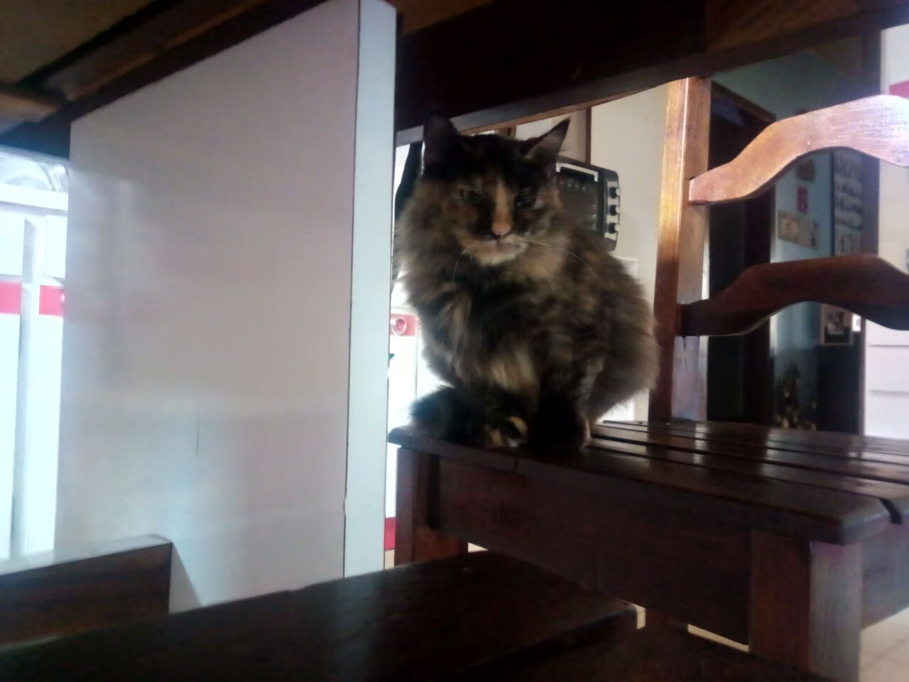 【策略应用】高手如何利用规则漏洞打出临场奇兵？