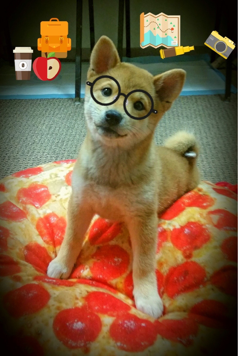 历史回顾：那些令人难忘的欧冠经典瞬间，欧冠历史夺冠