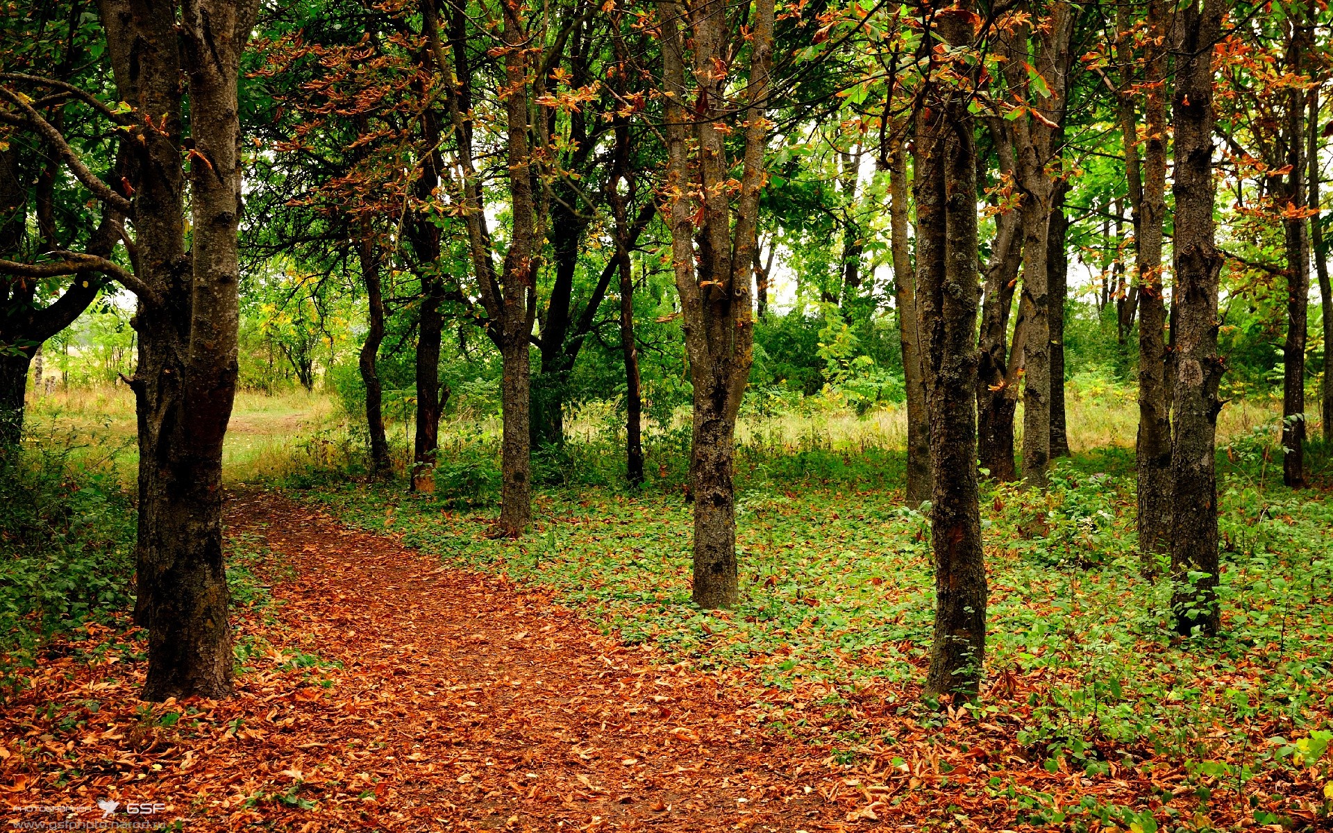 库里：用“天外飞仙”的三分，改写联盟历史！，库里新外号