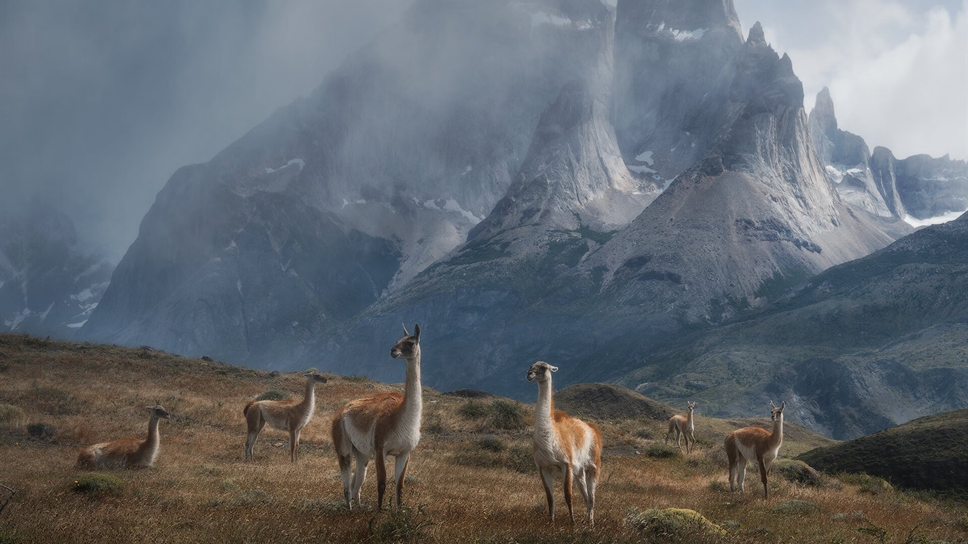 【联盟领跑者】天使队豪取五连胜，天使战队联合创始人
