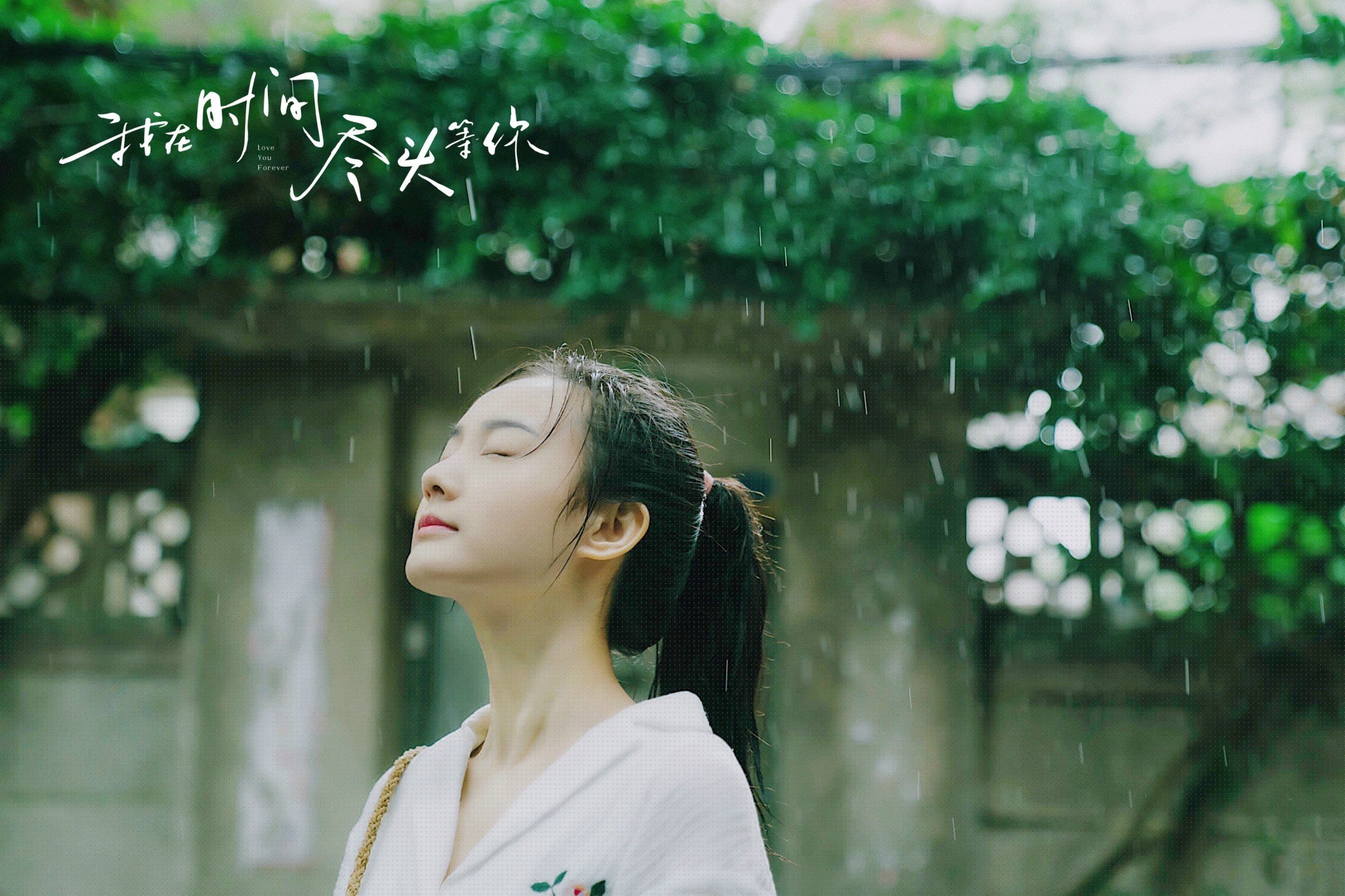 排球世界杯预选赛激烈争夺，中国队稳步晋级，排球 世界杯